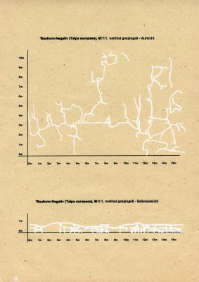 Bauform-Negativ (Talpa europaea)